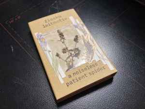 Fiasko Leitmotiv - A Noiseless Patient Spider