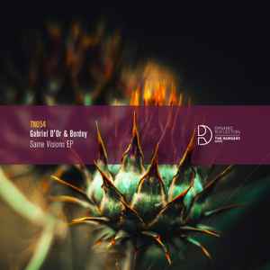 Gabriel D'Or & Bordoy - Same Visions EP