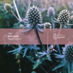 Naeila Lleerken - Parallel Planets EP