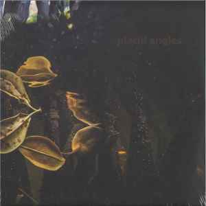 Placid Angles - Touch The Earth