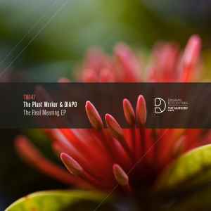 The Plant Worker - The Real Meaning EP